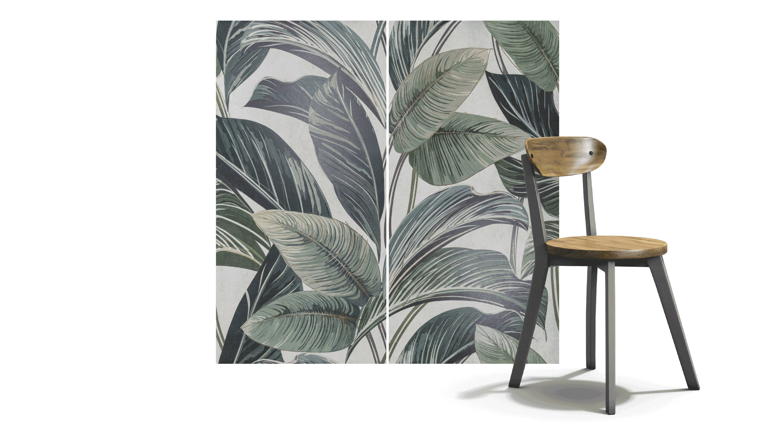 showall_animazione_ottimiz